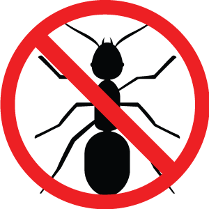 Bugs icon - ant