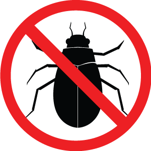 Bugs icon - bedbug