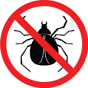 Bugs icon - flea