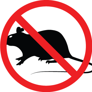 Bugs icon - mouse