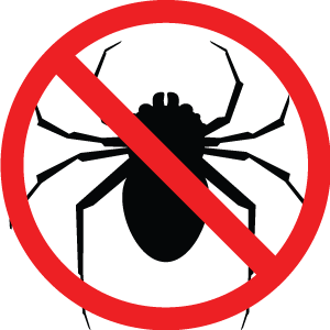 Bugs icon - spider