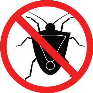 Bugs icon - stinkbug